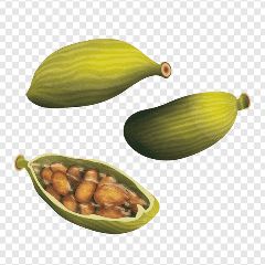 [ELAICHI_PAAN] Elaichi Paan